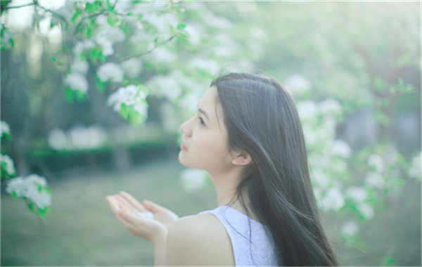 邵武验血查男女几周可以验(验血查男女结果图)